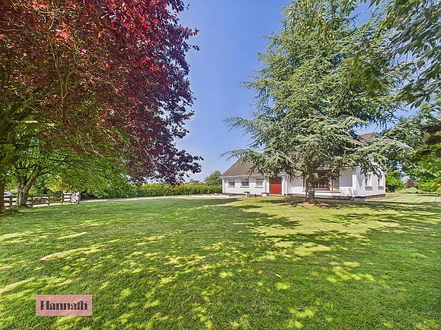 19 Drumgoose Road