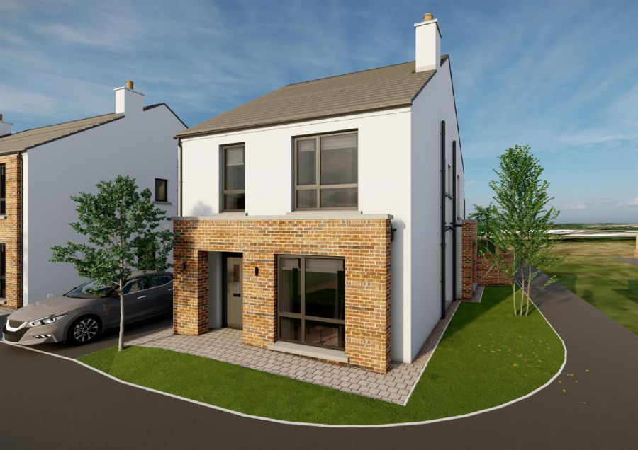 100 Ballynamoney View