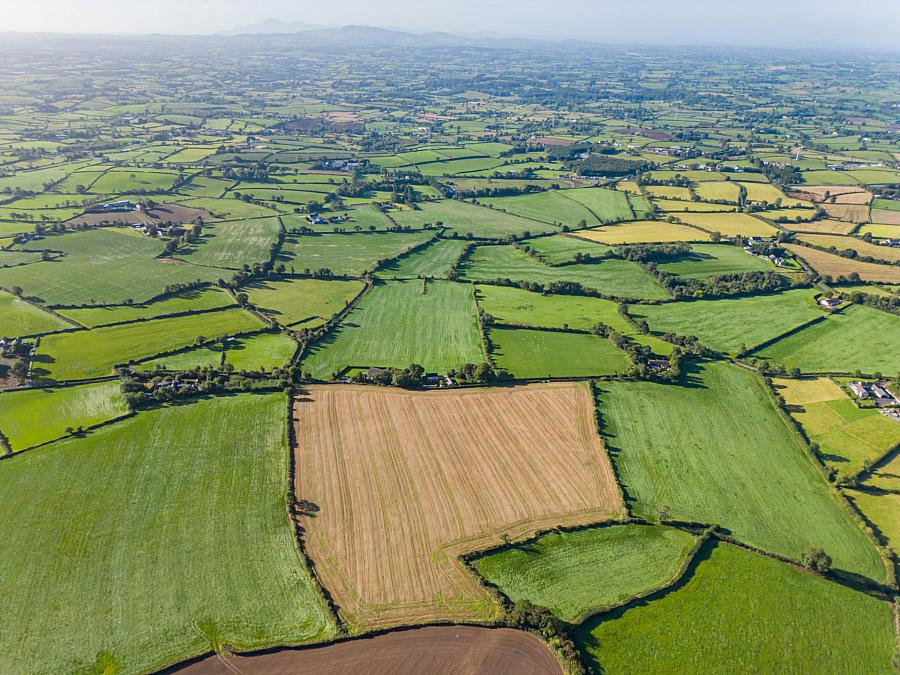 Approximately 14.3 Acres Of Agricultural Land, Lisnode Road