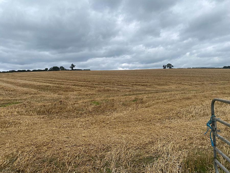 Approximately 14.3 Acres Of Agricultural Land, Lisnode Road