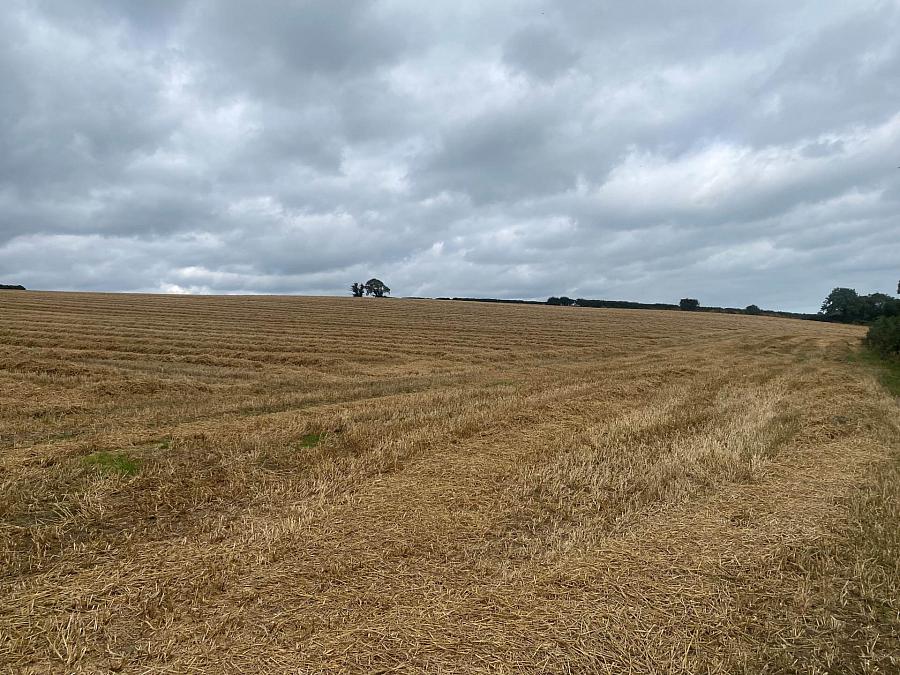 Approximately 14.3 Acres Of Agricultural Land, Lisnode Road
