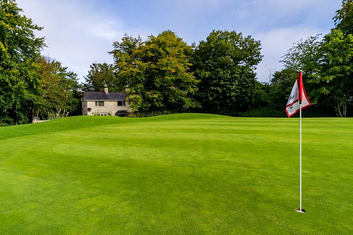 81 Dunmurry Lane