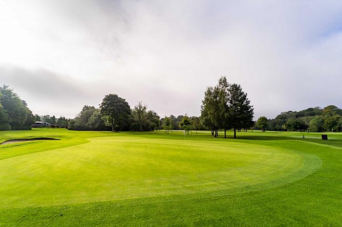 81 Dunmurry Lane
