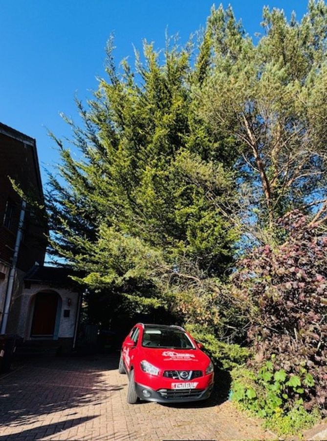 3 Hillside View,newtownabbey, BT36 6DE