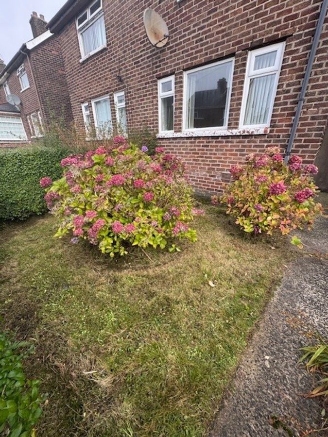 221 Joanmount Gardens