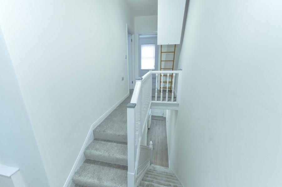 55 Sandown Road