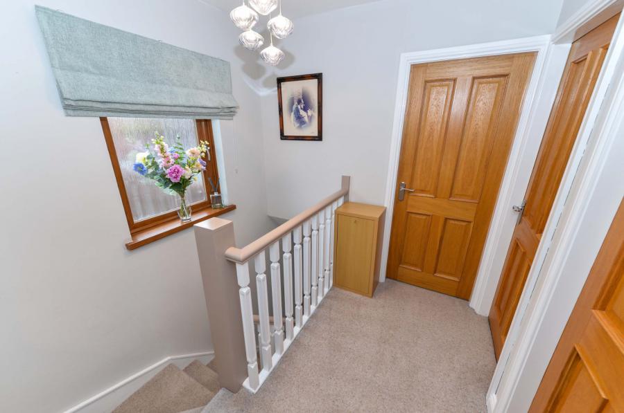 12 Orangefield Drive