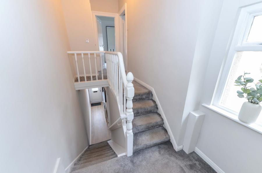 8 Sintonville Avenue