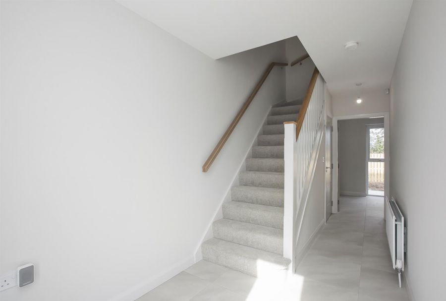 Hazel, Site 191 High Trees