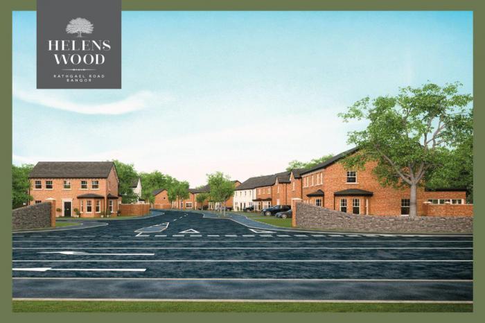 Site 233 - The Blackwood Helens Wood