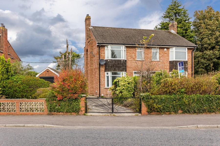 4 Rosemary Park