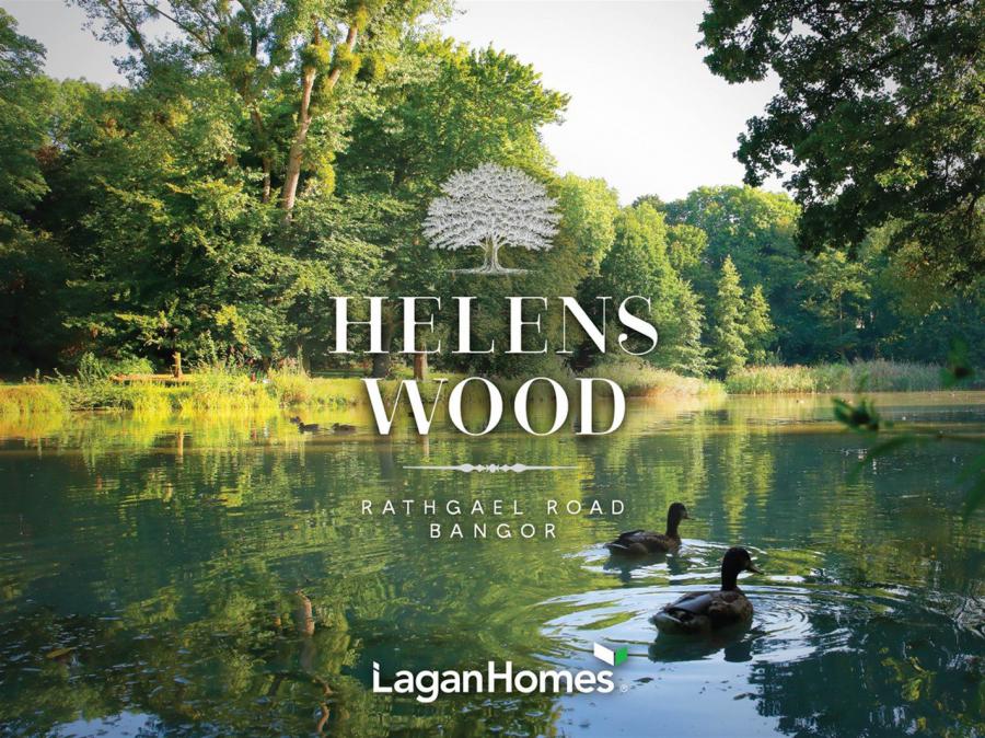 Site 308 - The Blackwood, Helens Wood