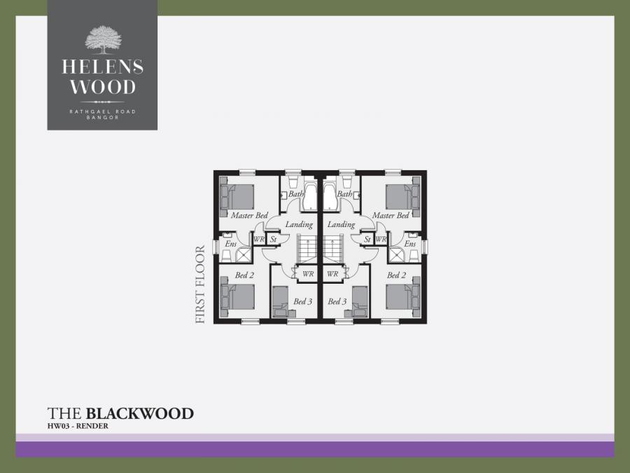 Site 309 The Blackwood, Helens Wood