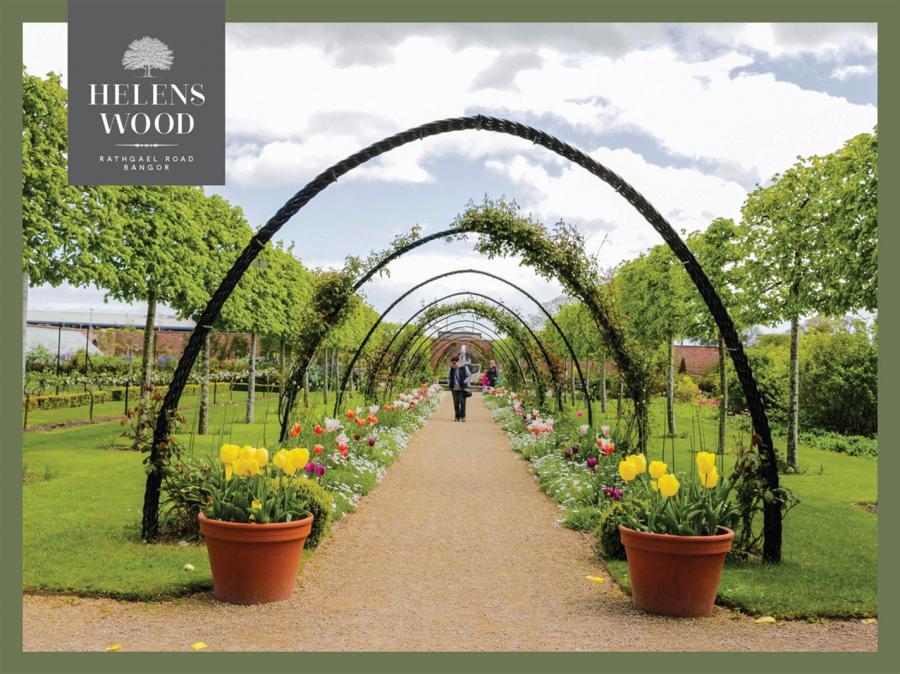 Site 316 - The Brompton Helens, Helens Wood