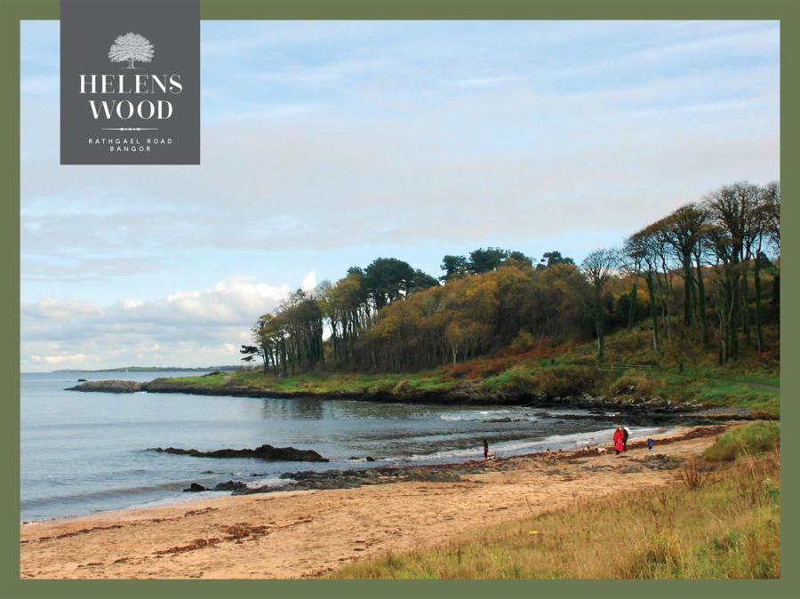 Site 316 - The Brompton Helens, Helens Wood