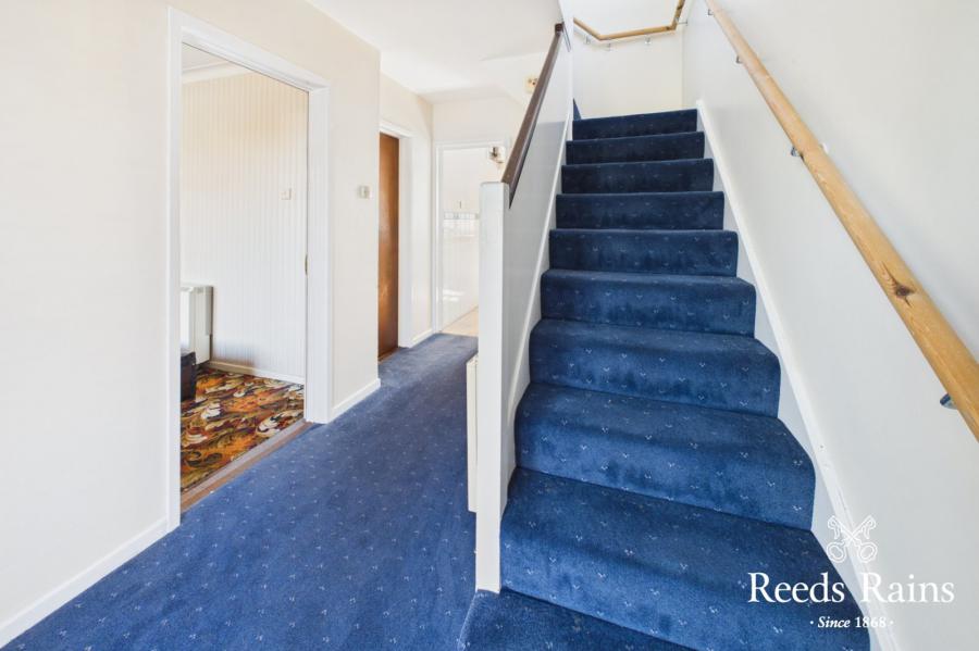7 Rosemary Avenue