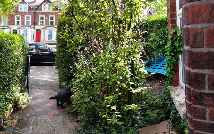 80 University Avenue