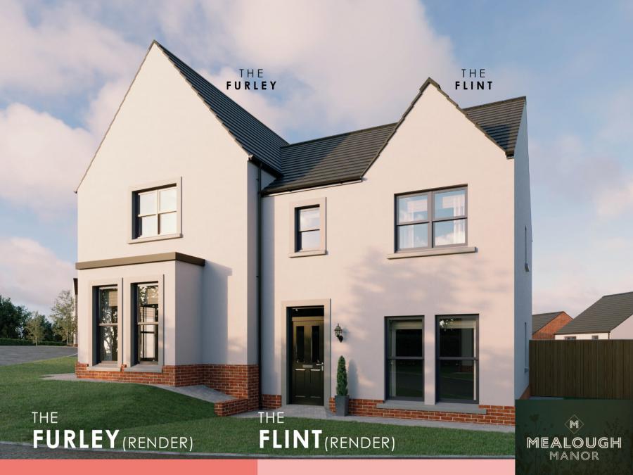 Site 116 - The Flint, Mealough Manor