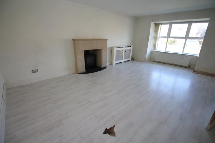 41 Brackenridge
