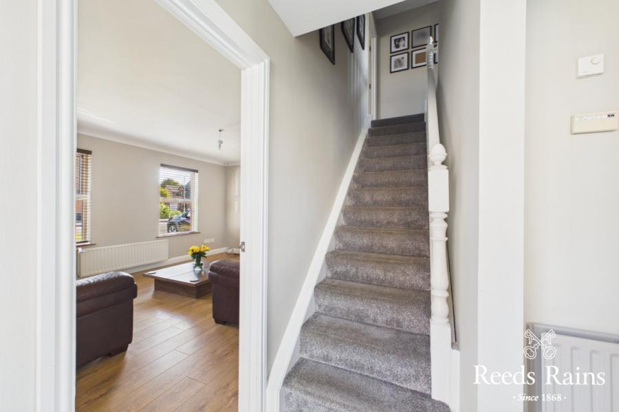 71 Minorca Drive