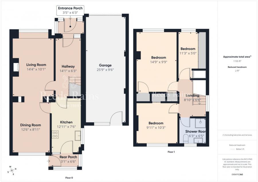 61 Rosevale Avenue