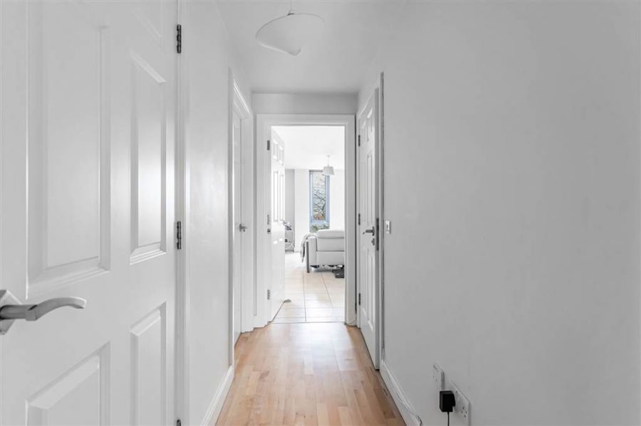 Apt 9 152 Malone Avenue