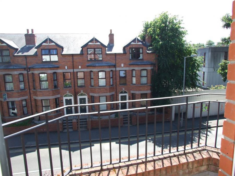 10 Chlorine Mews