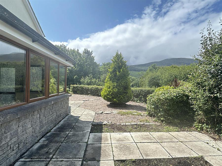 14 Rathcillan Wood