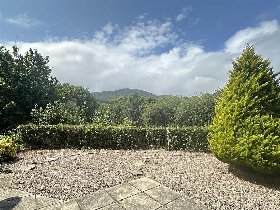 14 Rathcillan Wood