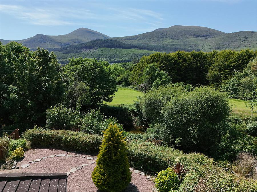 14 Rathcillan Wood