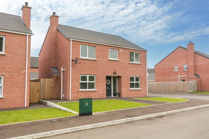 60 Nicholson Green, donaghcloney, BT66 7UY