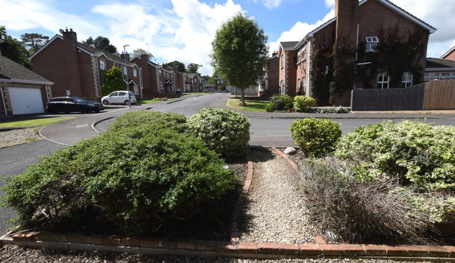 24 Murraywood