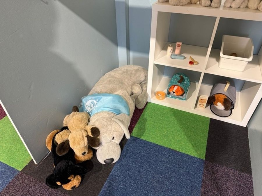 Mini Moira Play Cafe & Hub, Unit 10 The Village Centre