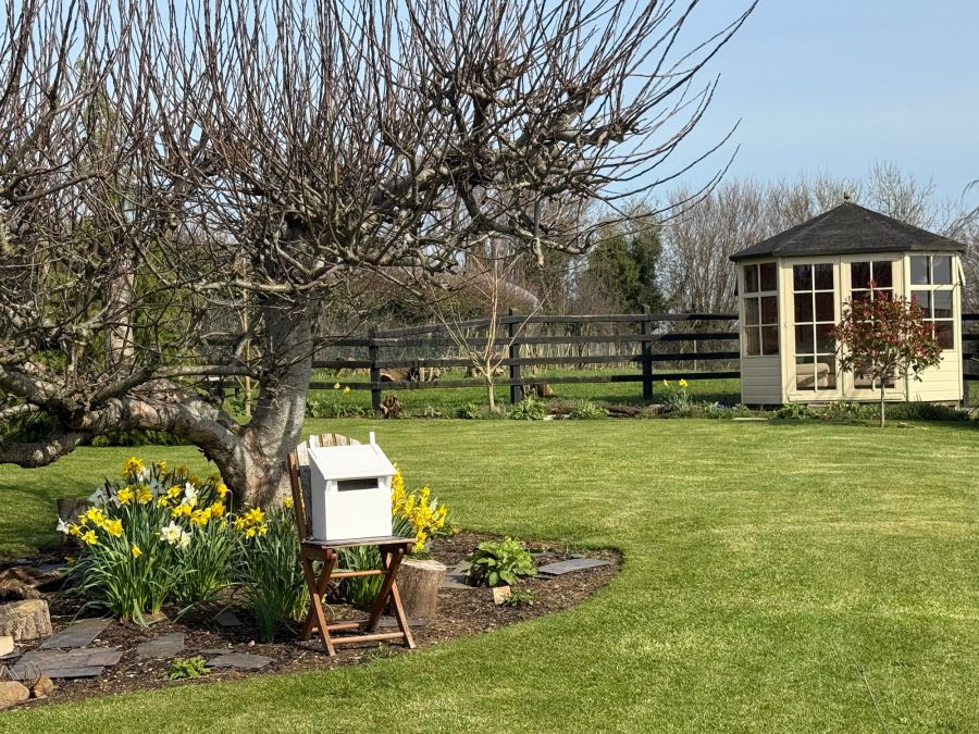 A beautiful Weavers Cottage with garden and paddock, 84 Inn Road