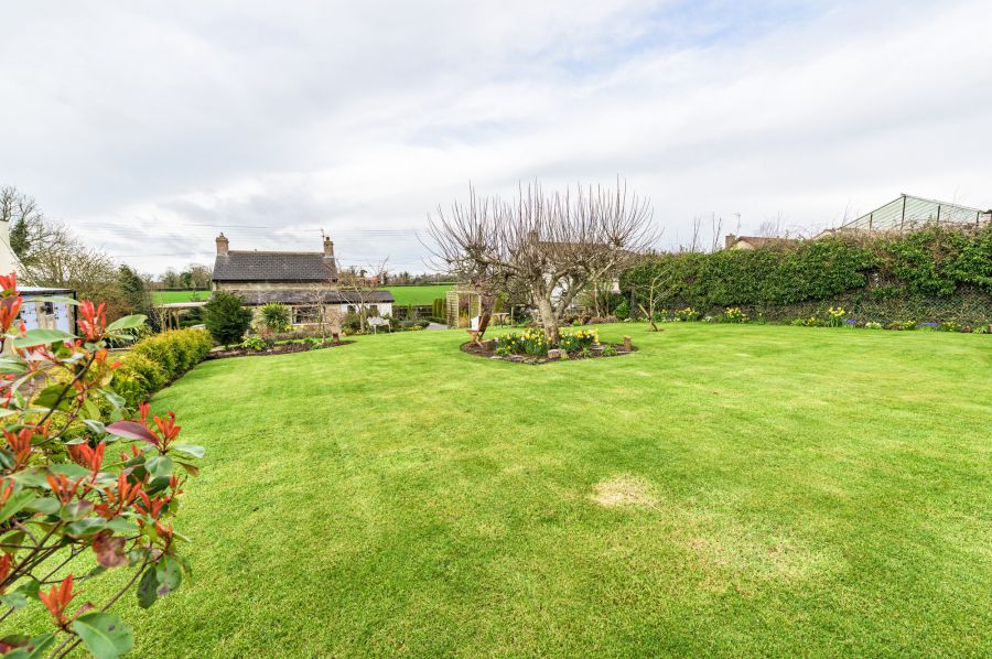 A beautiful Weavers Cottage with garden and paddock, 84 Inn Road