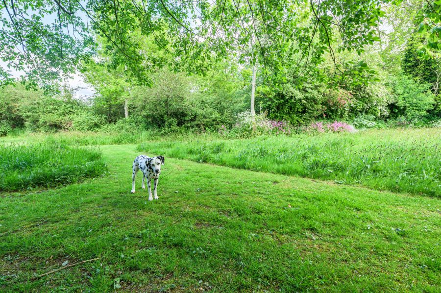 Ashvale, 10 Ballinderry Road