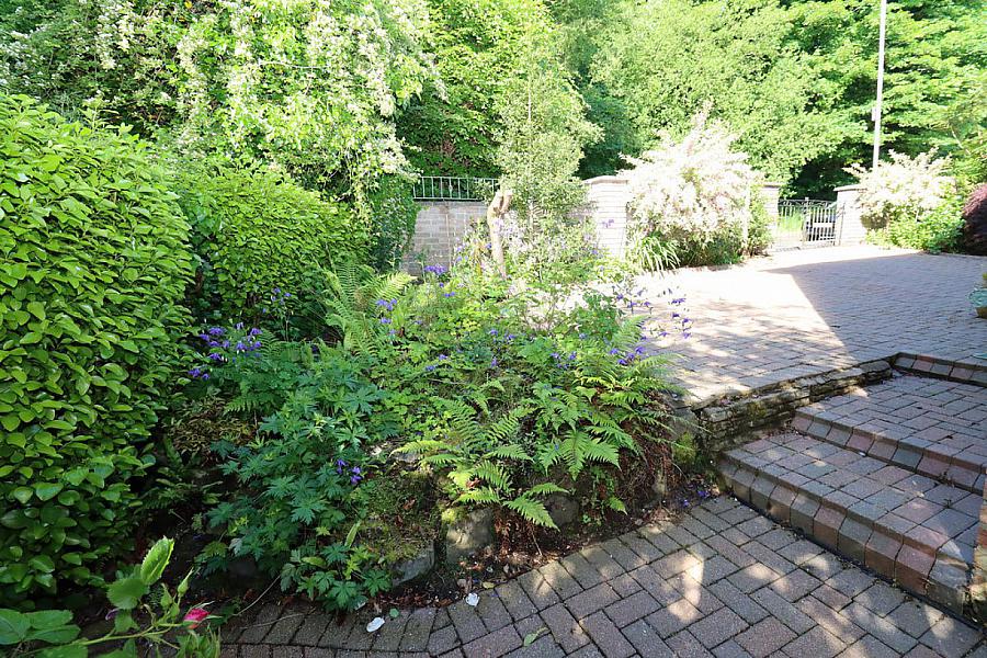 12 Pineview Park