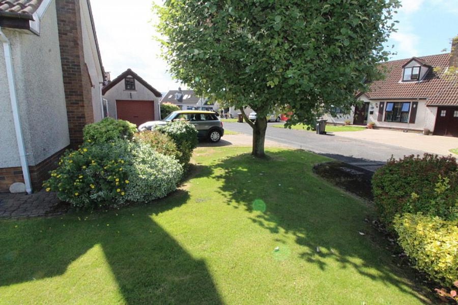17 Oldwood