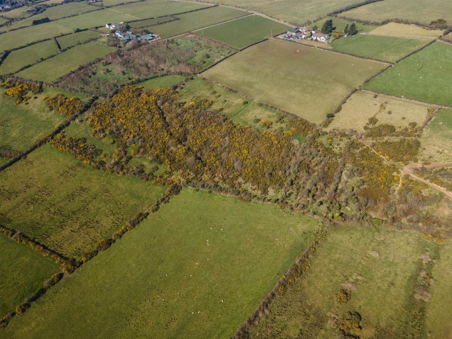 Land & Outbuildings Rear Of Downview Farm, 104 Old Carrick Road