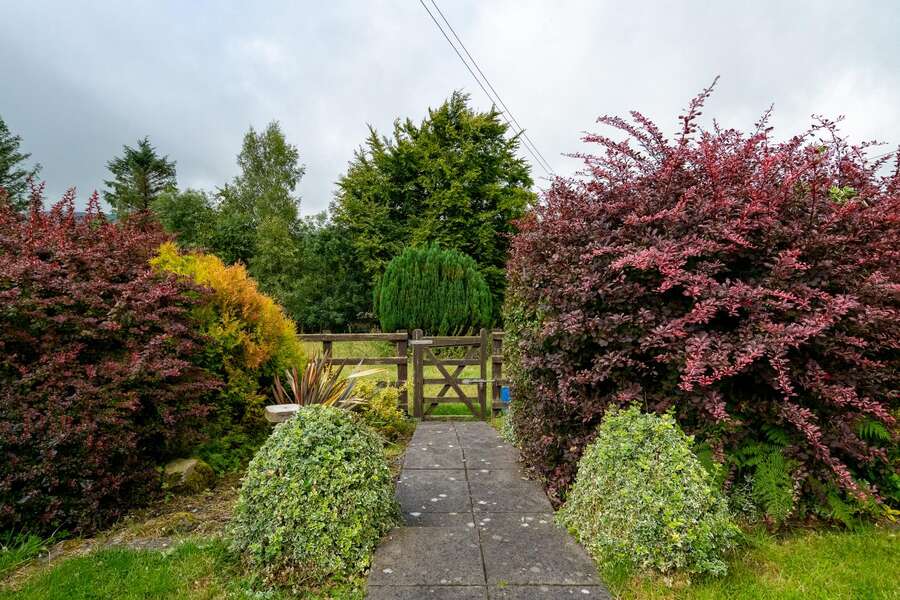 17 Carrigans Road