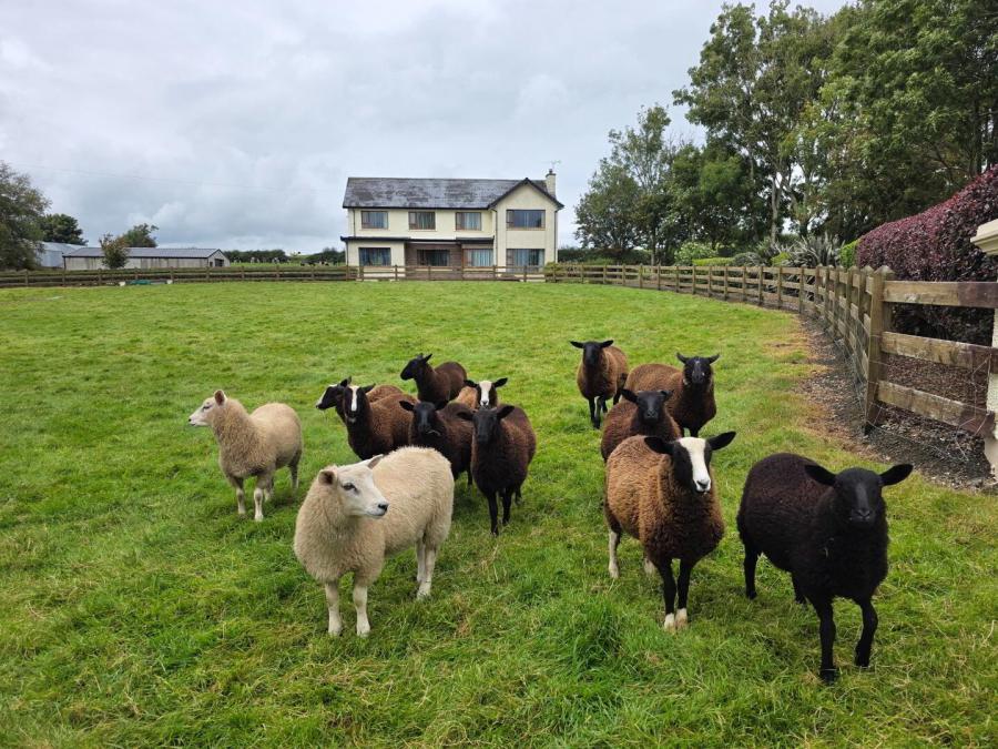 'Mullaghdubh', 54 Ballykenver Road