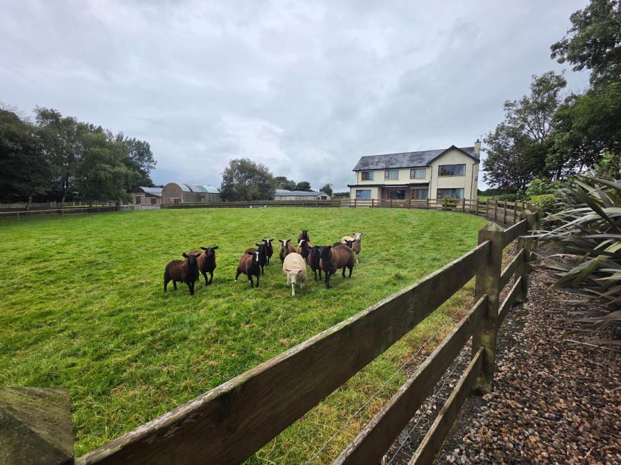 'Mullaghdubh', 54 Ballykenver Road 'Mullaghdubh', 54 Ballykenver Road