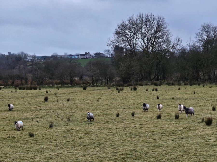 220/250m East Of 10 Glenlough Road