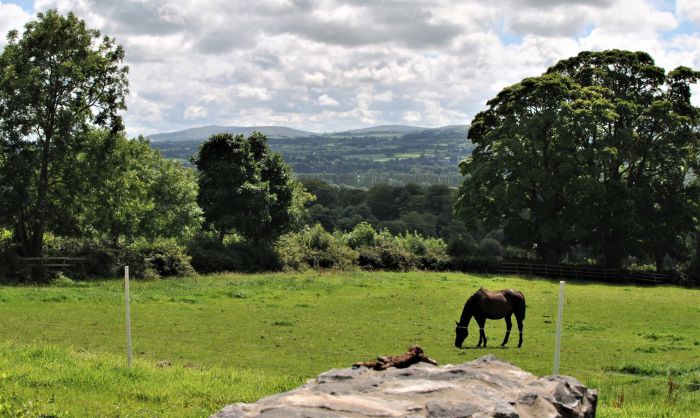 Quarry House, 2 Donegore Hill