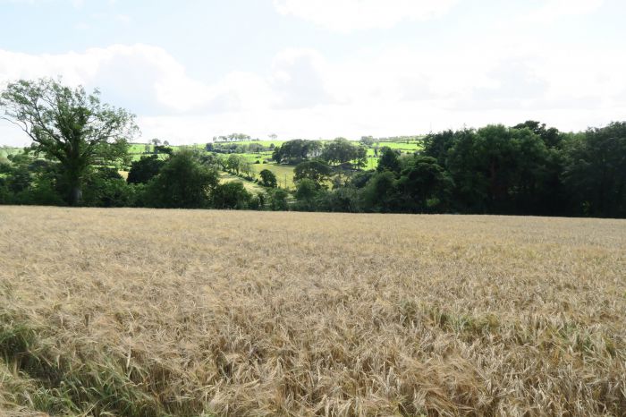 Between 5 And 9 New Road, Banbridge, BT32 4EA