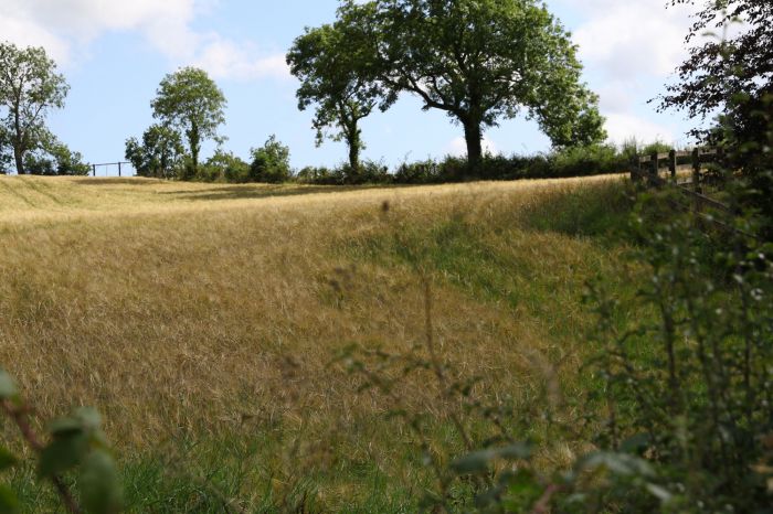 Between 5 And 9 New Road