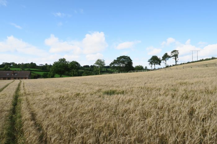 Between 5 And 9 New Road