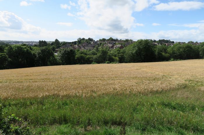 Between 5 And 9 New Road