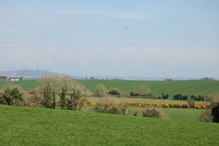 Adjacent To 56 Ballycreely Road, Comber, BT23 5PX