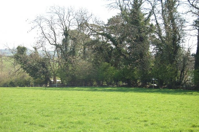 Adjacent To 56 Ballycreely Road